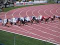 France_jeunes_Parilly_2008 (05)